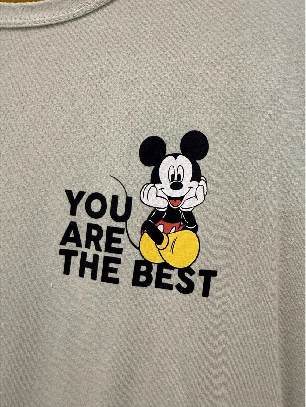 Disney Mickey Mouse Women’s Mint Green Lightweight 1x